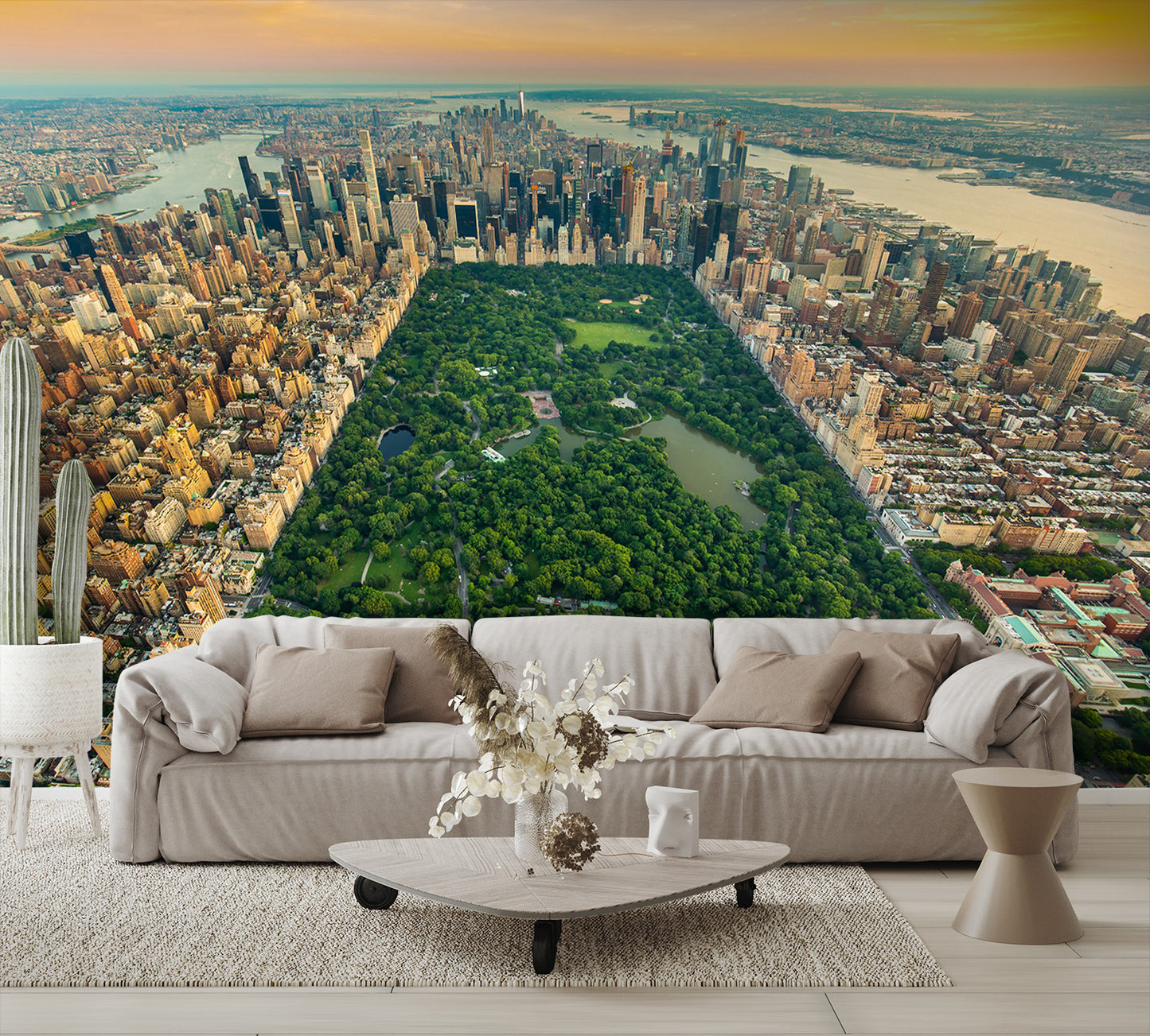 Aerial View New York Central Park Wall Mural