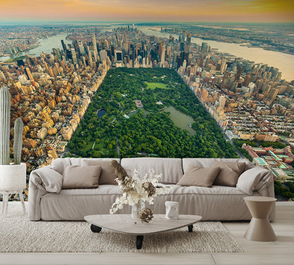 Aerial View New York Central Park Wall Mural