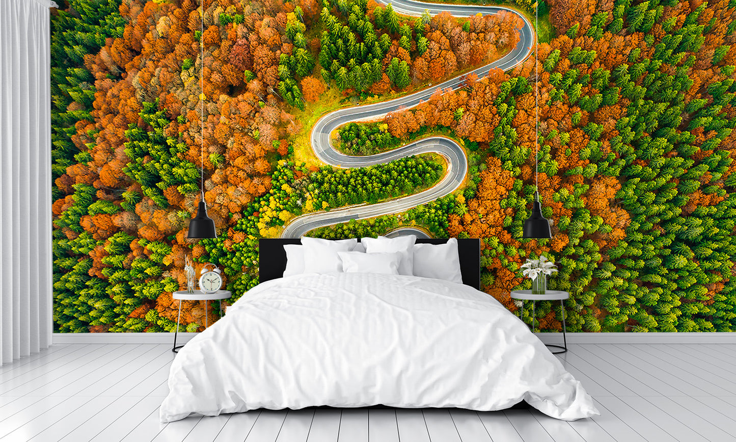 Aerial View Winding Road Autumn Colored Forest Wall Mural