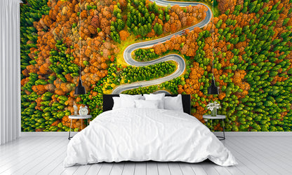 Aerial View Winding Road Autumn Colored Forest Wall Mural