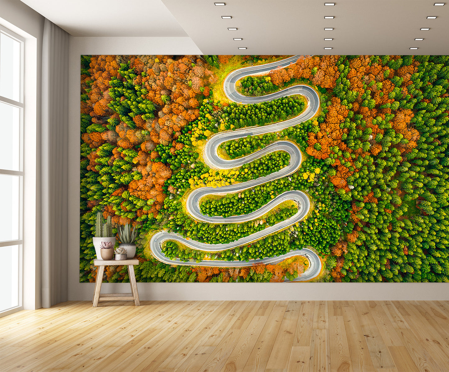 Aerial View Winding Road Autumn Colored Forest Wall Mural