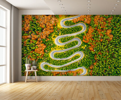 Aerial View Winding Road Autumn Colored Forest Wall Mural