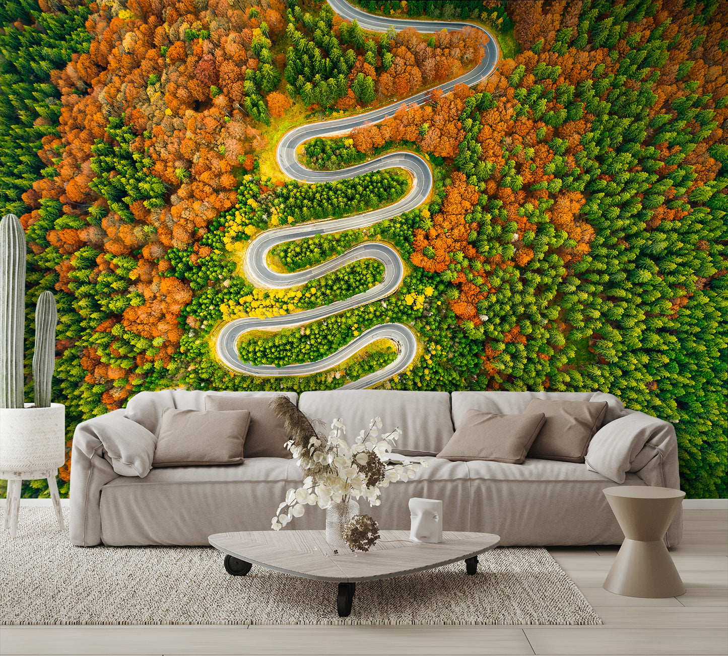 Aerial View Winding Road Autumn Colored Forest Wall Mural