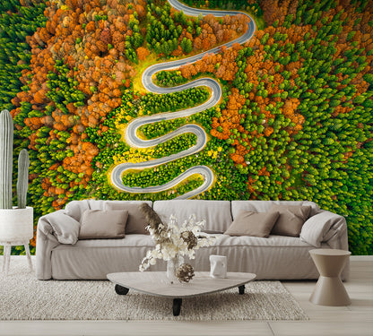 Aerial View Winding Road Autumn Colored Forest Wall Mural