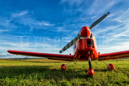 wall mural view on wall