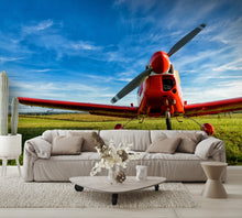 wall mural view on wall