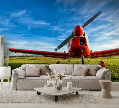 wall mural view on wall