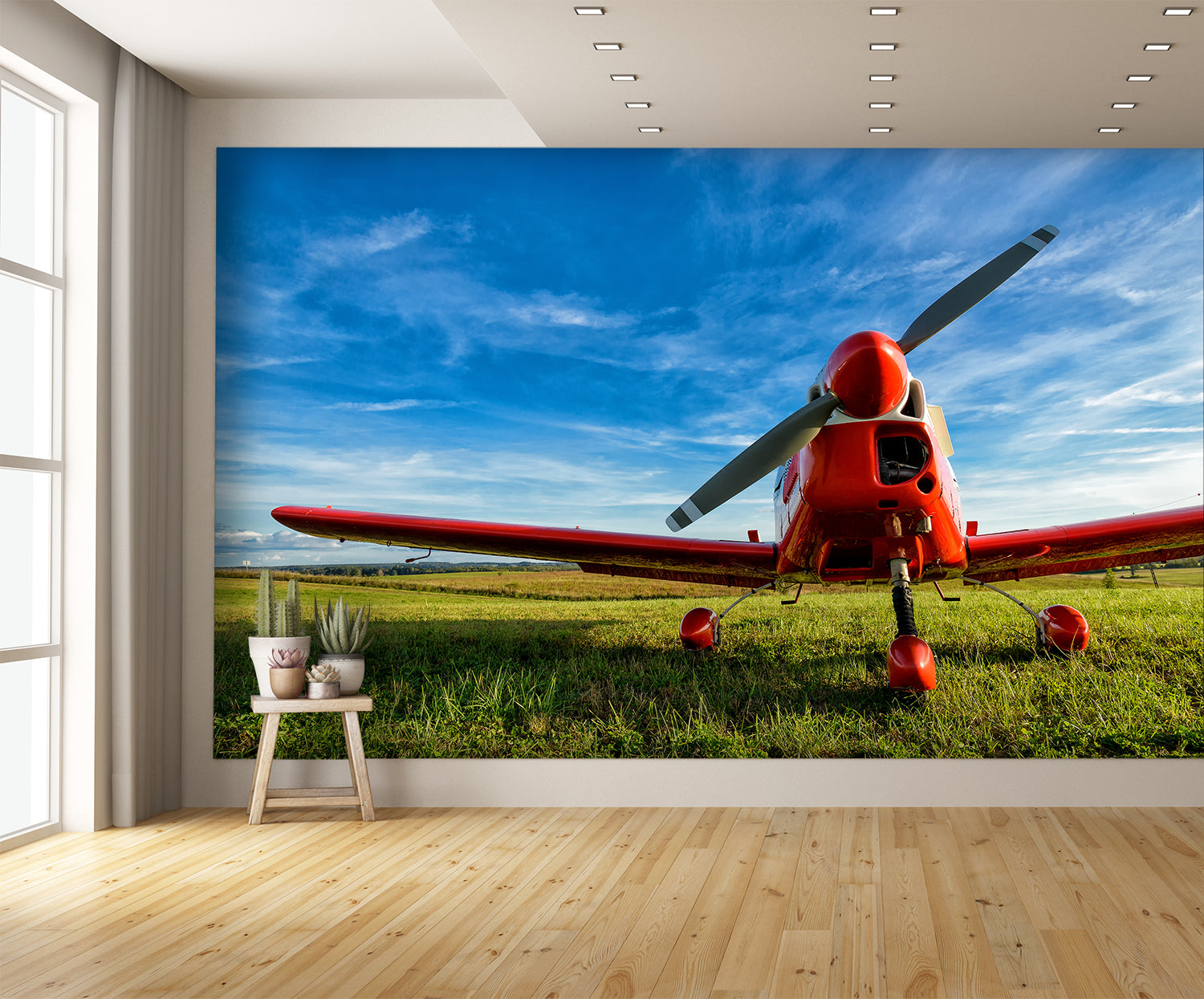 wall mural view on wall