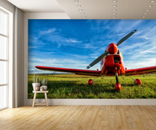 wall mural view on wall