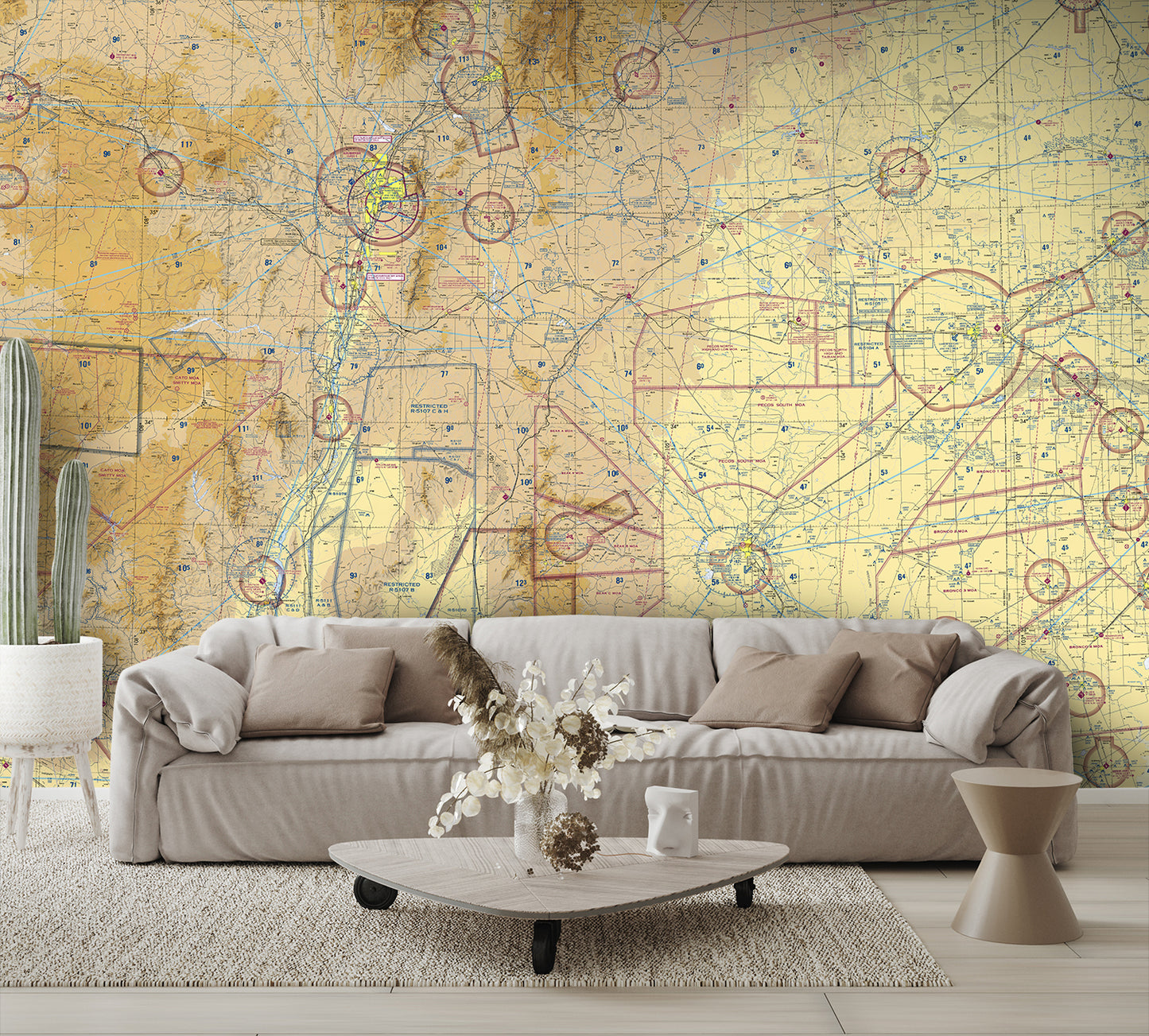 Aeronautical Chart Albuquerque Wall Mural
