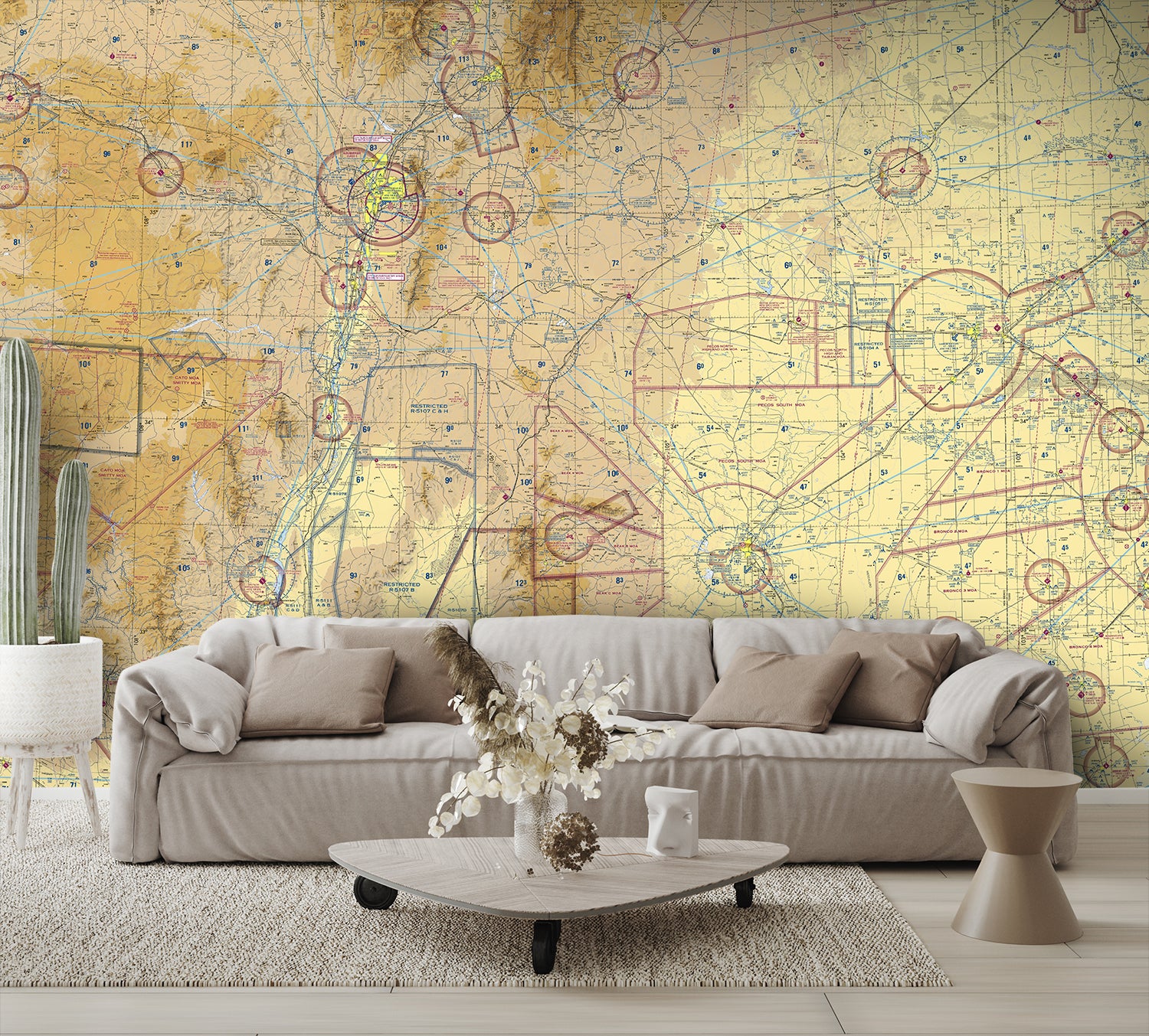 Aeronautical Chart Albuquerque Wall Mural