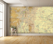 Aeronautical Chart Albuquerque Wall Mural
