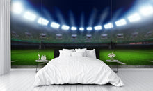 American Football Stadiums Wall Mural