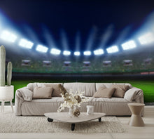 American Football Stadiums Wall Mural