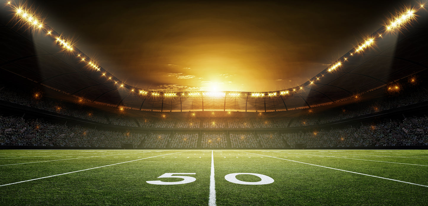 American Football Stadium Wall Mural