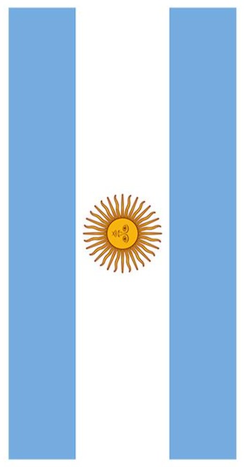 Flag of Argentina Cornhole Decal Wrap