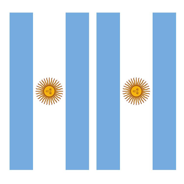 Flag of Argentina Cornhole Decal Wrap