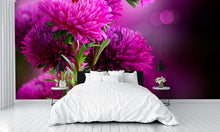 Aster Flowers Art Wall Mural