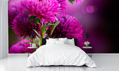 Aster Flowers Art Wall Mural