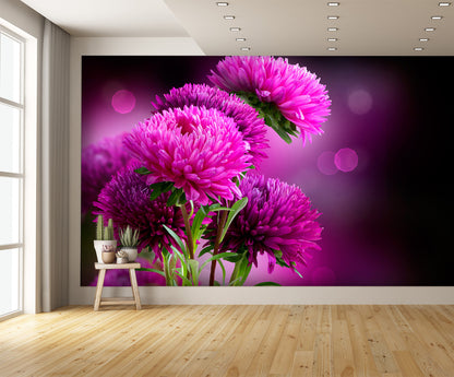 Aster Flowers Art Wall Mural