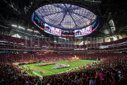 Mercedes-Benz Football Stadium Wall Mural