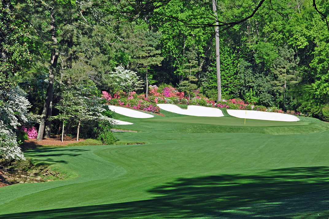 Augusta National Golf Club Golf Course Wallpaper Mural