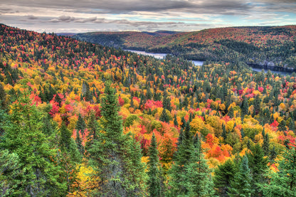 Beautiful Autumn Mountains Wall Mural