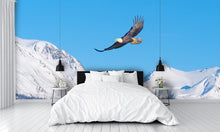American Bald Eagle Flying Alaska Mountains Wall Mural