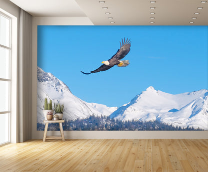 American Bald Eagle Flying Alaska Mountains Wall Mural