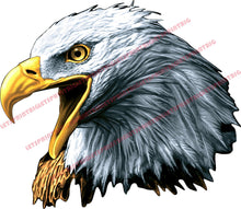 American Bald Eagle Head Wall Art Wall Decal Indoors Outdoors Large