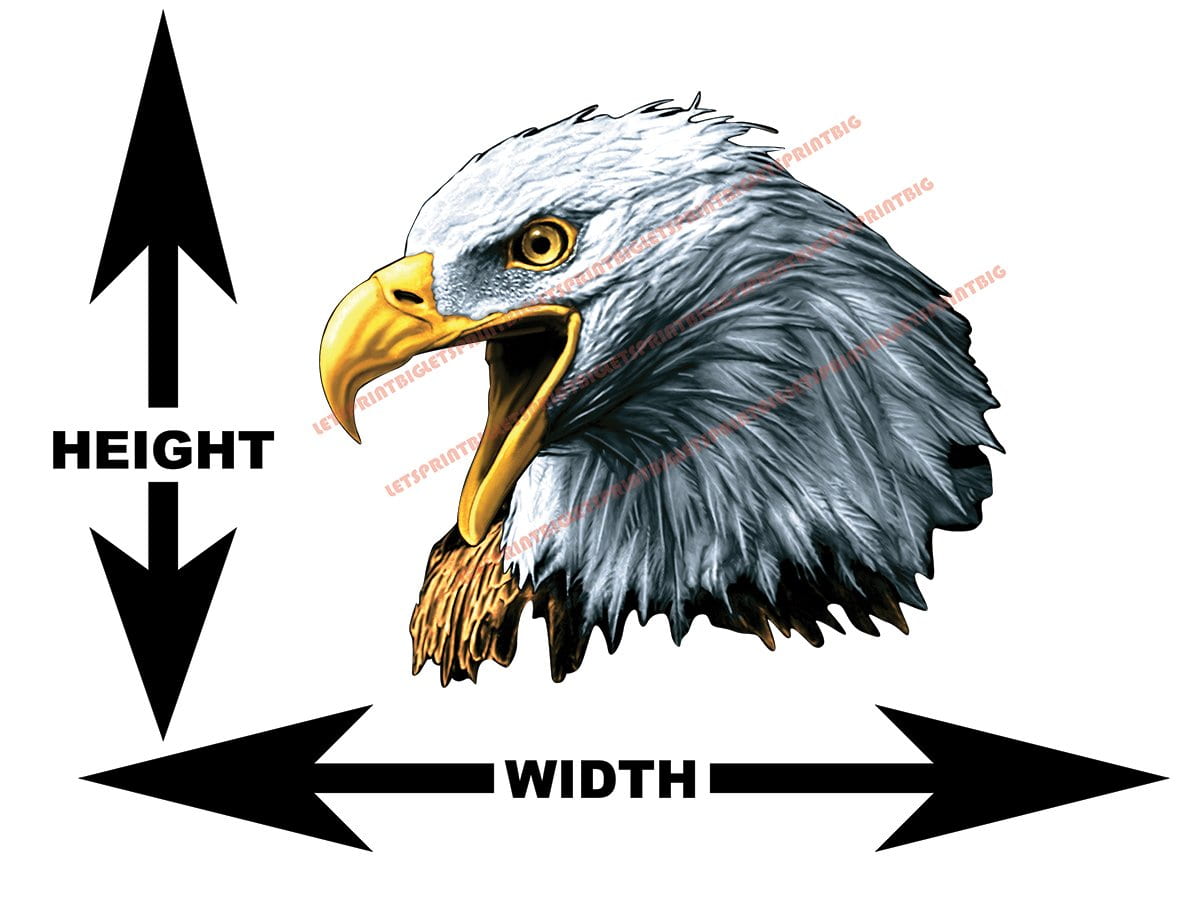 American Bald Eagle Head Wall Art Wall Decal Indoors Outdoors Large