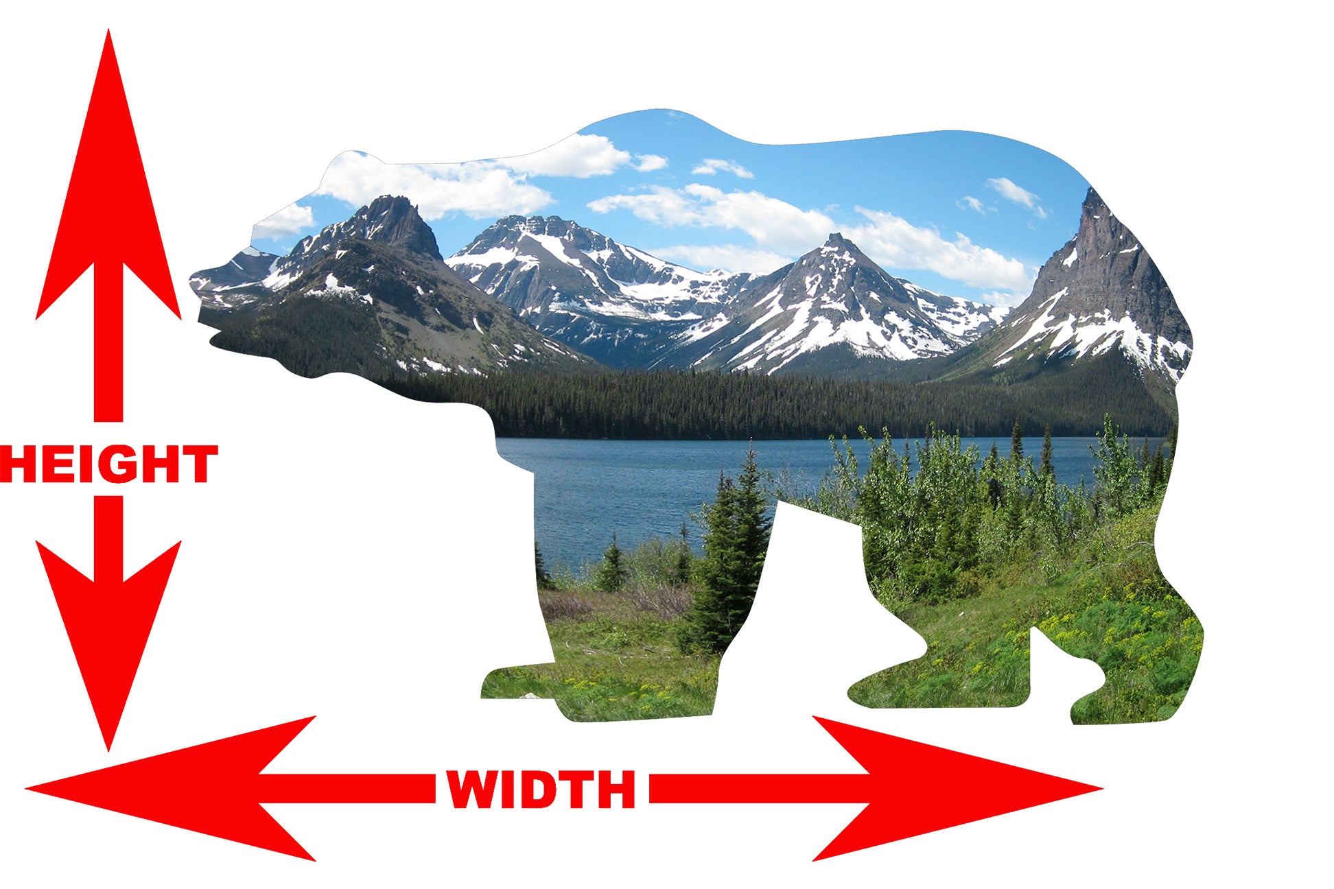 Bear Silhouette Montana Background Image Large Wall Decals