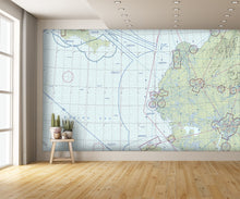 Aeronautical Chart Bethel Wall Mural