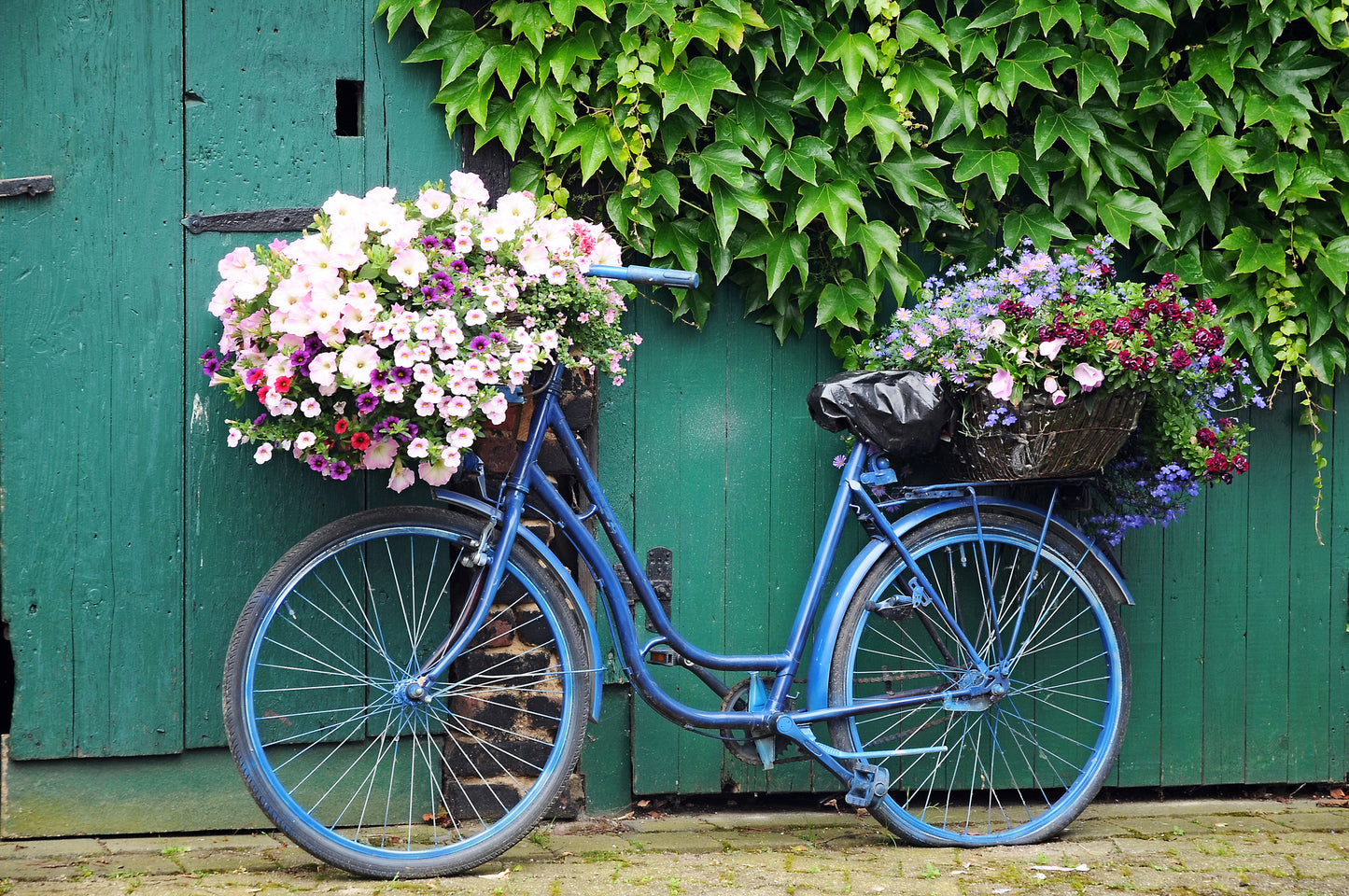 Bicycle with Flowers Wall Mural
