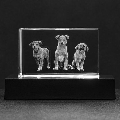 Custom Photo Engraved Crystal - Block
