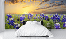 Bluebonnets in the Texas Hill Country Wall Mural