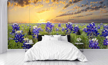Bluebonnets in the Texas Hill Country Wall Mural