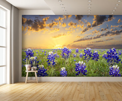 Bluebonnets in the Texas Hill Country Wall Mural