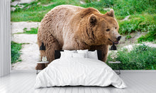Brown Bear Carpathian Mountains Wall Mural