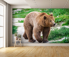 Brown Bear Carpathian Mountains Wall Mural