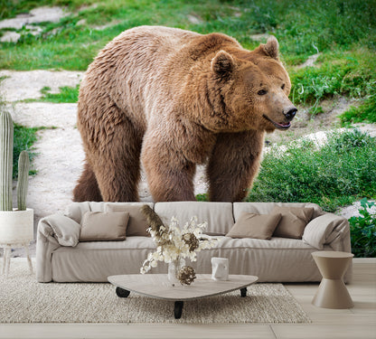 Brown Bear Carpathian Mountains Wall Mural