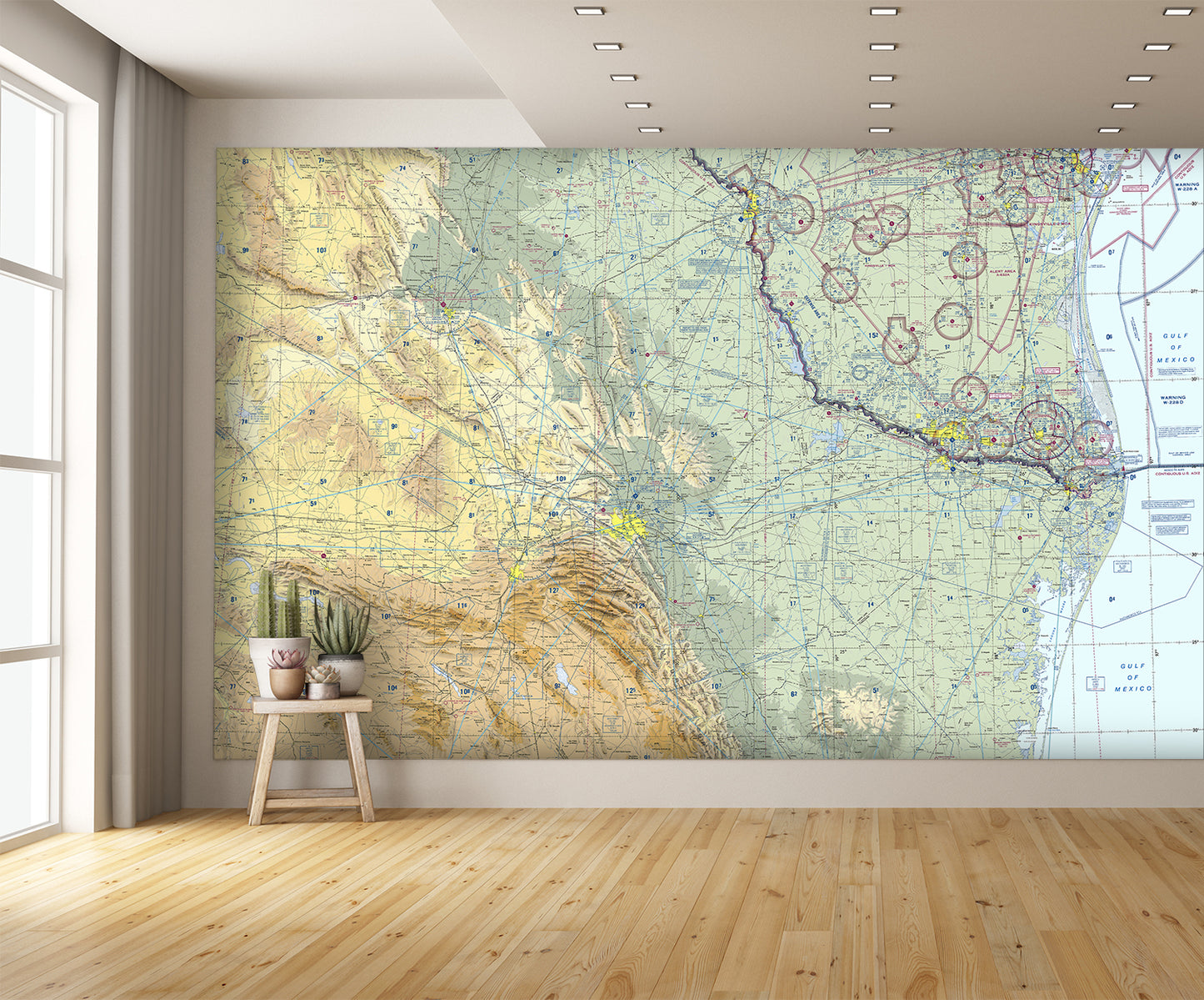 Aeronautical Chart Brownsville Wall Mural
