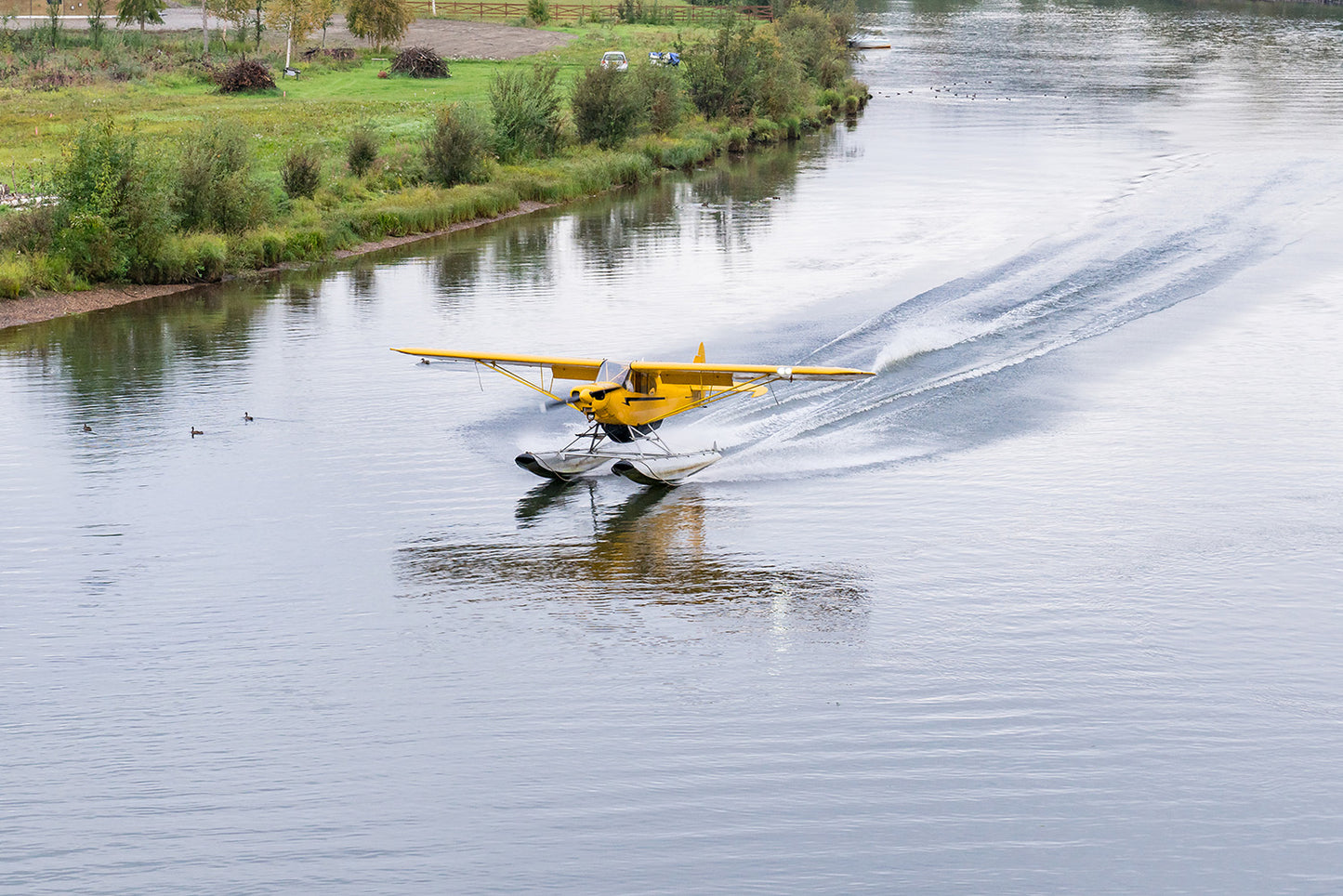 Bush Float Plane Landing Wall Mural