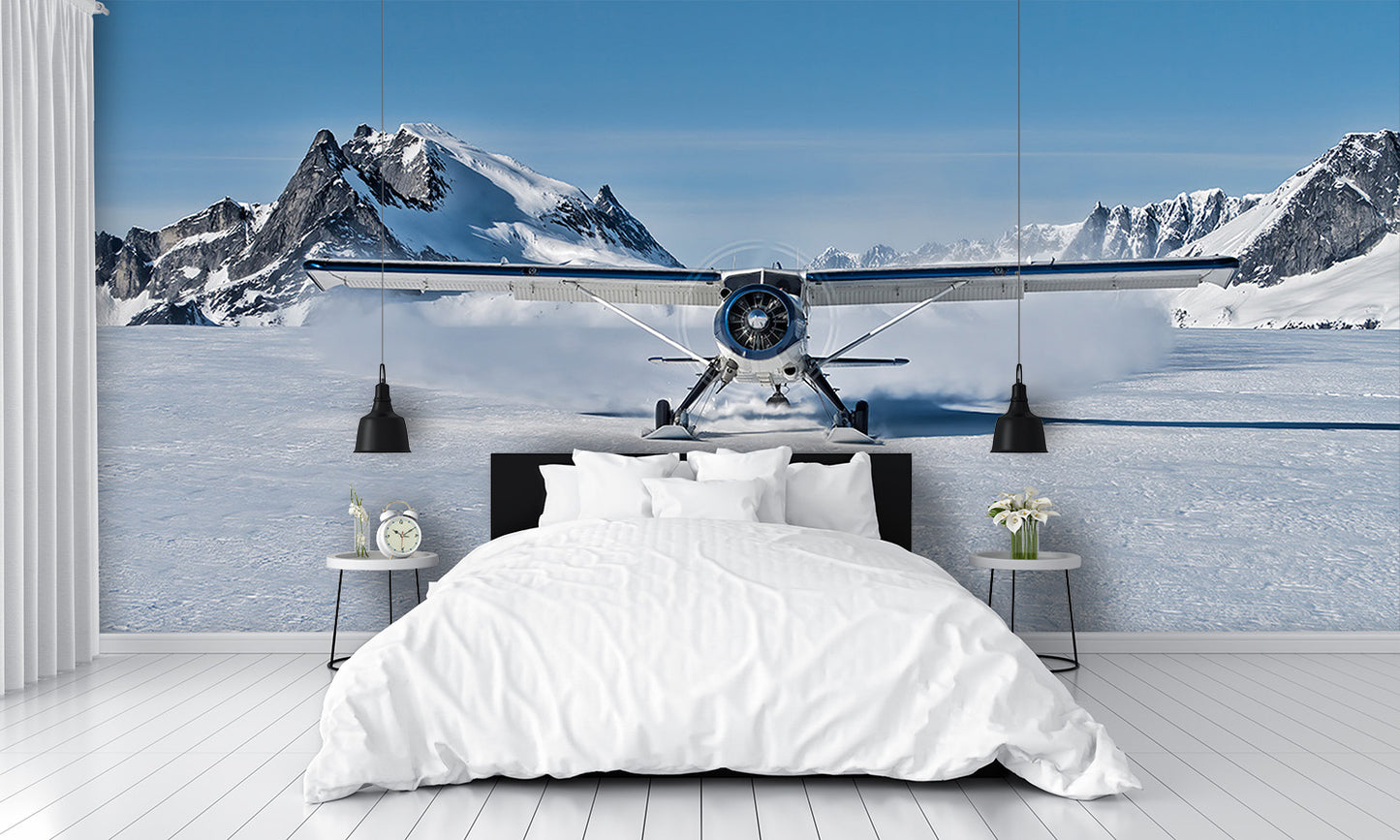 Bush Plane Skii's Landing Snow Glacier Wall Mural