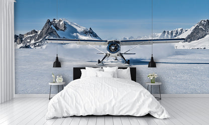 Bush Plane Skii's Landing Snow Glacier Wall Mural
