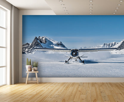 Bush Plane Skii's Landing Snow Glacier Wall Mural