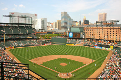 Camden Stadium Baseball Diamond Field Custom Designed Wallpaper