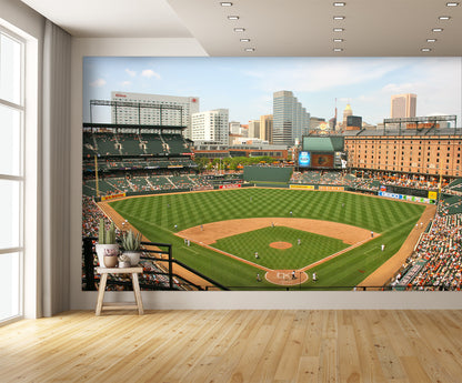 Camden Stadium Baseball Diamond Field Custom Designed Wallpaper