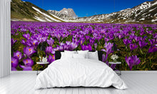 Carpet of Wild Mountain Crocus Flowers Wall Mural