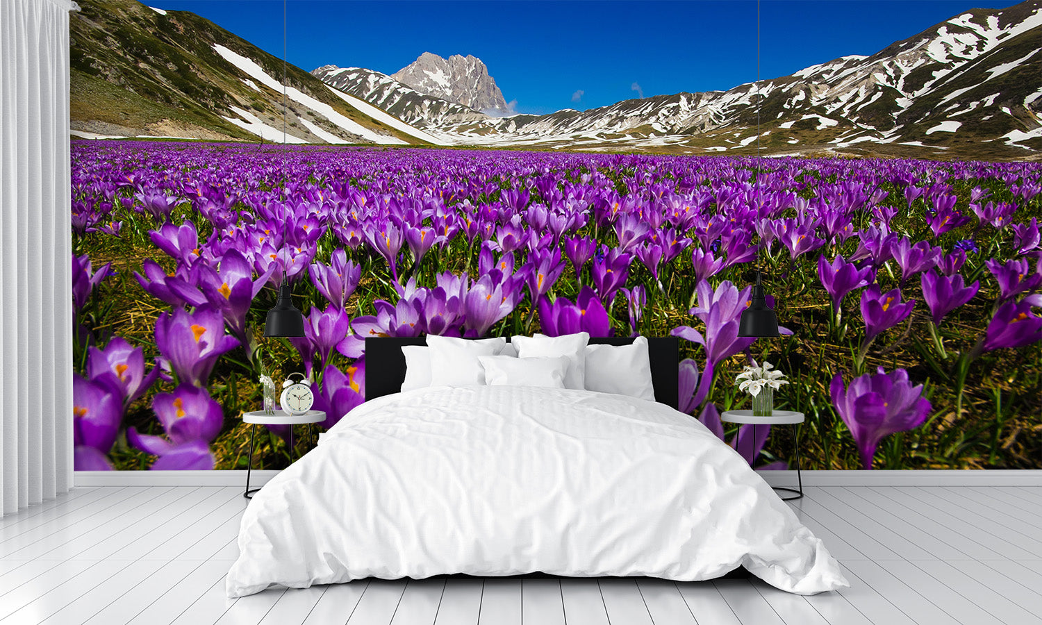 Carpet of Wild Mountain Crocus Flowers Wall Mural